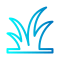 grass