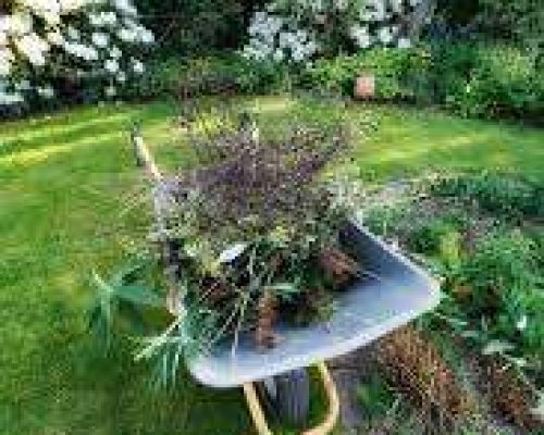 springcleanupathensgeorgia